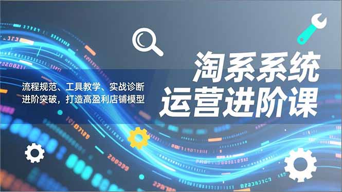 淘系系统运营进阶课2.0，流程规范、工具教学、实战诊断，进阶突破，打造高盈利店铺模型-小钱大课云网创