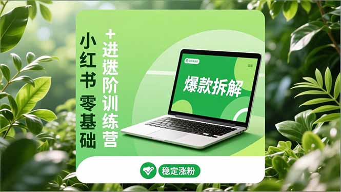 小红书零基础+高阶训练营：安全养号、爆款拆解、长效运营，实现稳定涨粉与变现-小钱大课云网创
