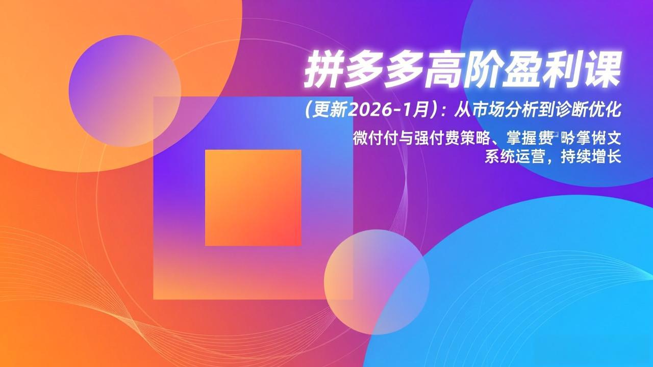 拼多多高阶盈利课(更新2026-1月-小钱大课云网创