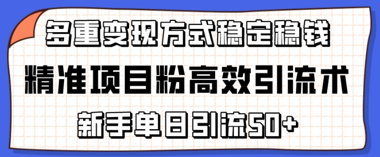 精准项目粉高效引流术，新手单日引流50+，多重变现方式稳定赚钱-小钱大课云网创