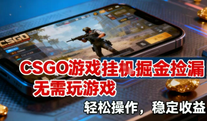 CSGO游戏挂G掘金捡漏，不需要玩游戏，操作简单，收益稳定【揭秘】-小钱大课云网创