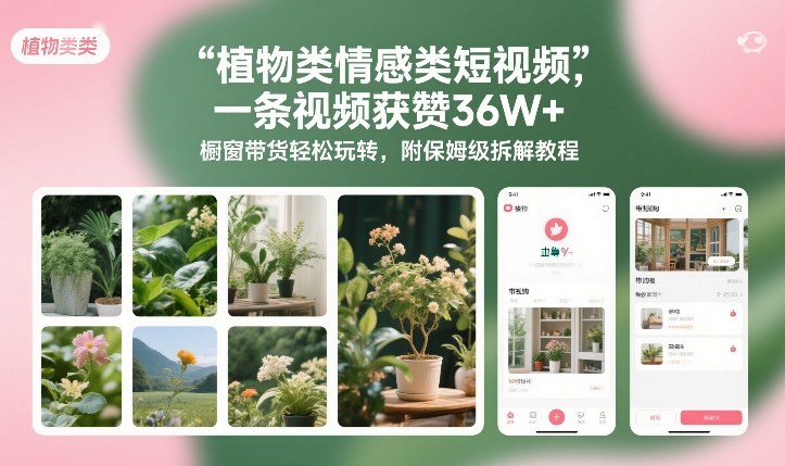 植物类情感类短视频，一条视频获赞36W+，橱窗带货轻松玩转，附保姆级拆解教程-小钱大课云网创