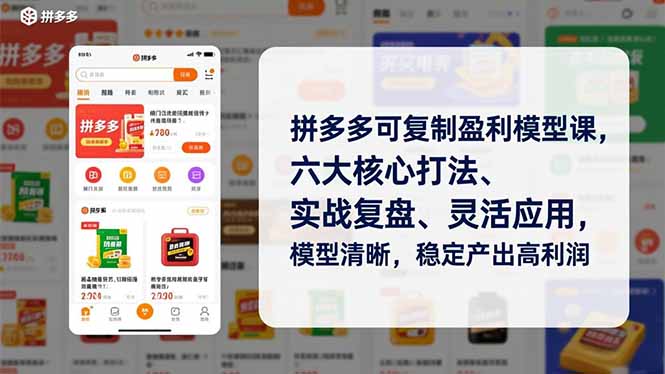 拼多多可复制盈利模型课，六大核心打法、实战复盘、灵活应用，模型清晰，稳定产出高利润-小钱大课云网创