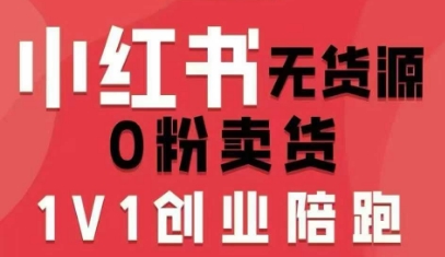 小红书无货源0粉电商课，开店准备、选品策略、笔记撰写、视频剪辑、数据分析、账号打造、资料文档(更新)-小钱大课云网创