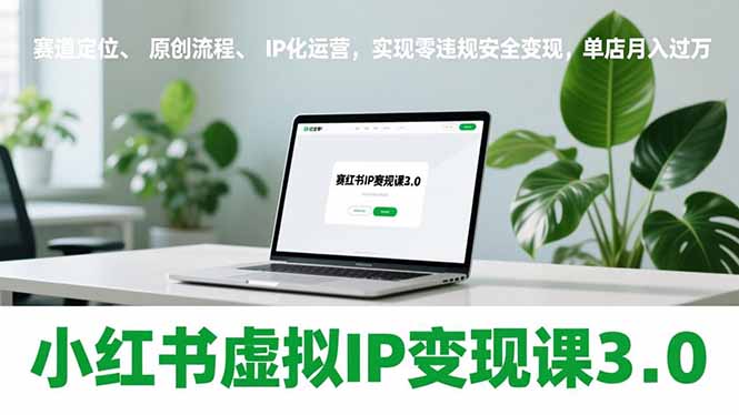 小红书虚拟IP变现课3.0，赛道定位、原创流程、IP化运营，实现零违规安全变现，单店月入过万-小钱大课云网创