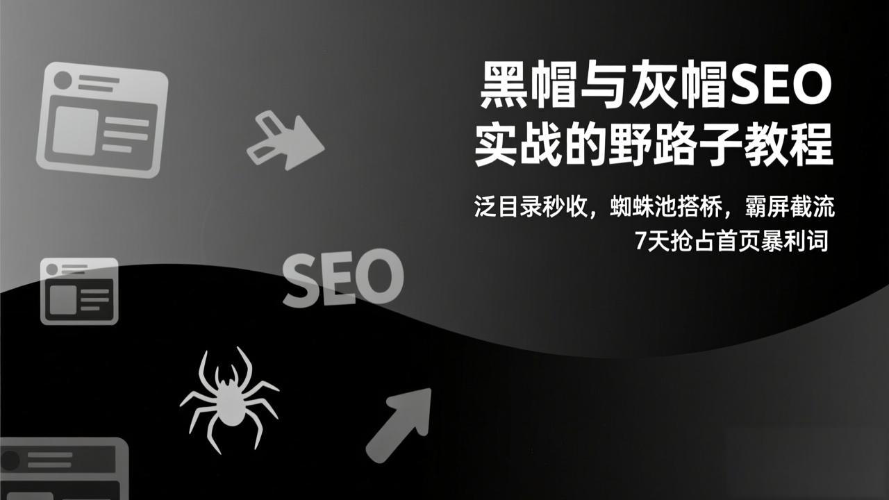 黑帽与灰帽SEO实战的野路子教程：泛目录秒收，蜘蛛池搭桥，霸屏截流，7天抢占首页暴利词-小钱大课云网创