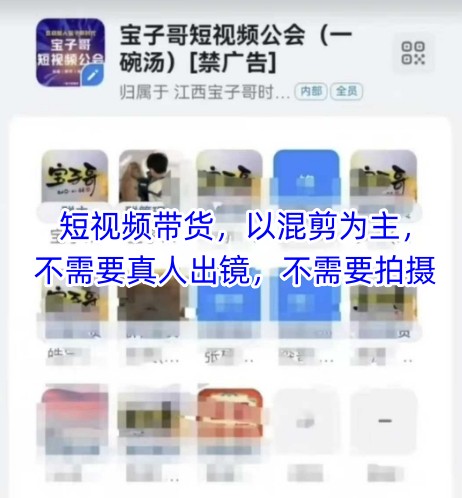 宝子哥头部团队短视频带货，以混剪为主，不需要真人出镜，不需要拍摄【更新12月】-小钱大课云网创