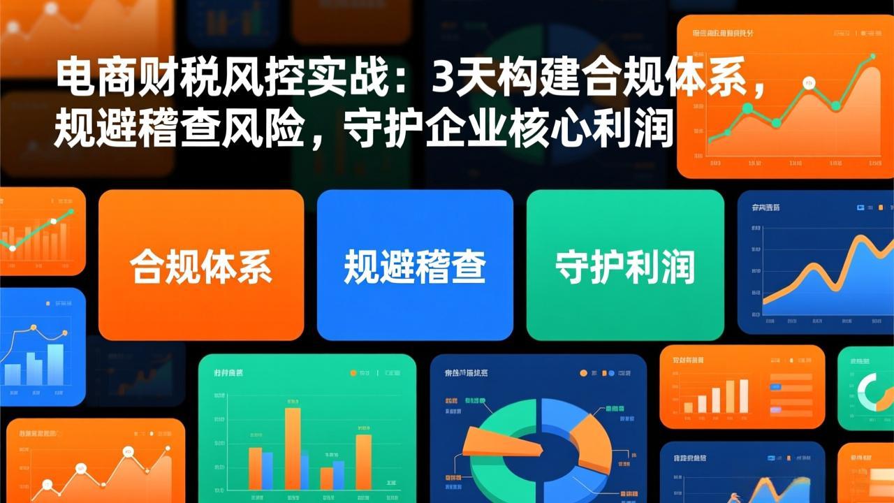 电商财税风控实战：3天构建合规体系，规避稽查风险，守护企业核心利润-小钱大课云网创